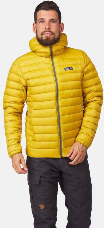 Patagonia Down Sweater Hoody Donsjas Rood