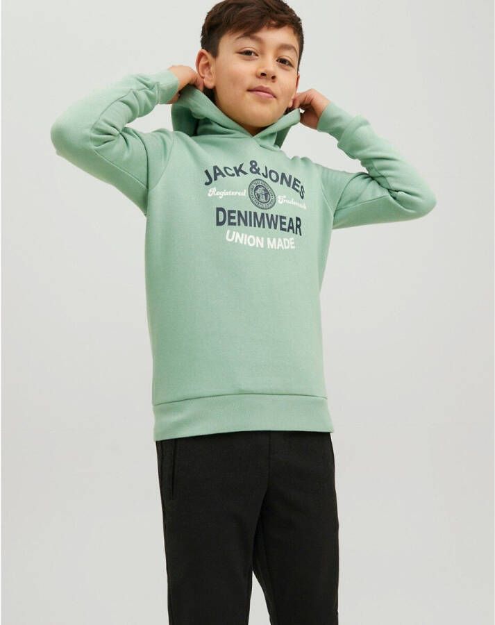Jack & Jones Junior Hoodie JJELOGO SWEAT HOOD 2 COL 22/23 NOOS JNR