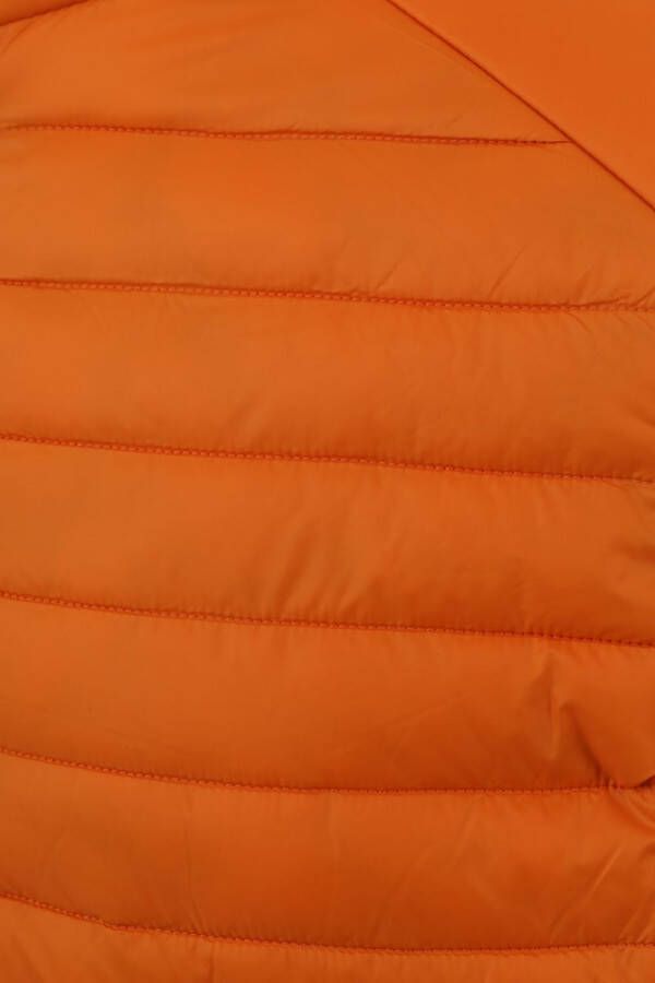Save The Duck Gewatteerde jassen Oranje Heren