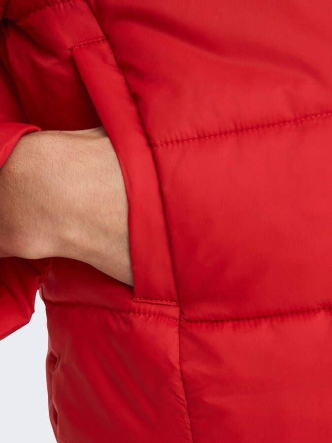 Only Gewatteerde jas short